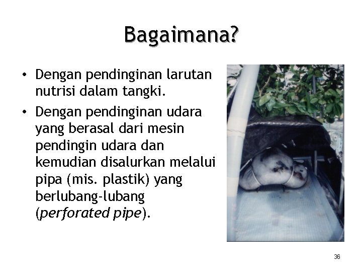 Bagaimana? • Dengan pendinginan larutan nutrisi dalam tangki. • Dengan pendinginan udara yang berasal