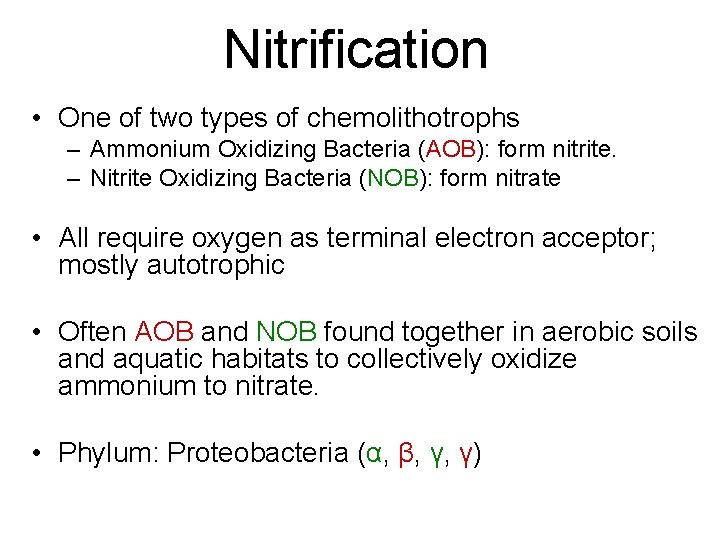 Nitrification • One of two types of chemolithotrophs – Ammonium Oxidizing Bacteria (AOB): form