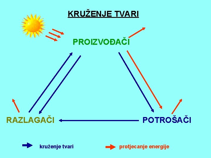 KRUŽENJE TVARI PROIZVOĐAČI RAZLAGAČI kruženje tvari POTROŠAČI protjecanje energije 