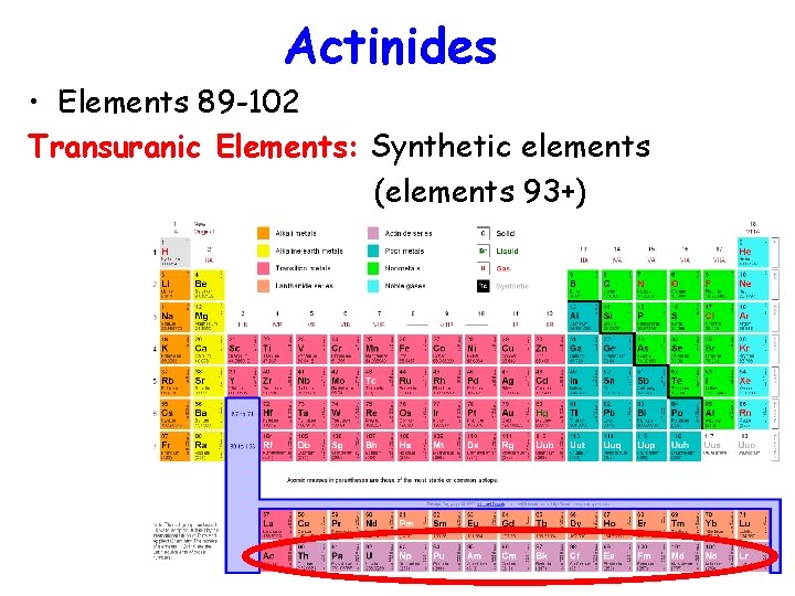 Actinides • Elements 89 -102 Transuranic Elements: Synthetic elements (elements 93+) 