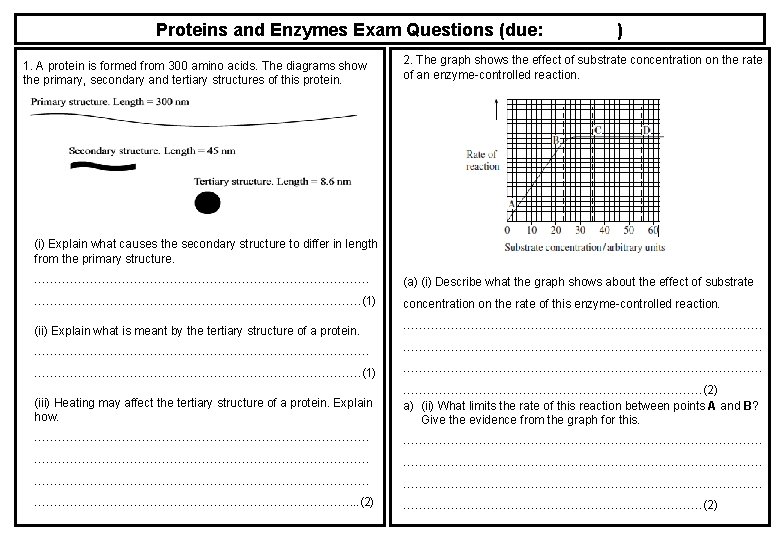 Proteins and Enzymes Exam Questions (due: 1. A protein is formed from 300 amino