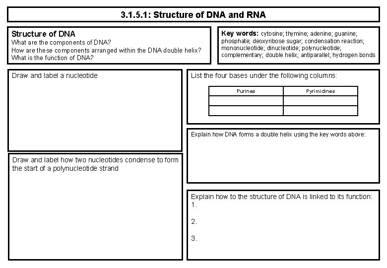 3. 1. 5. 1: Structure of DNA and RNA Key words: cytosine; thymine; adenine;