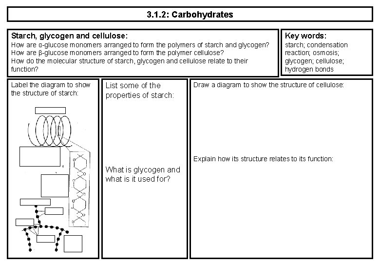 3. 1. 2: Carbohydrates Starch, glycogen and cellulose: Key words: How are α-glucose monomers
