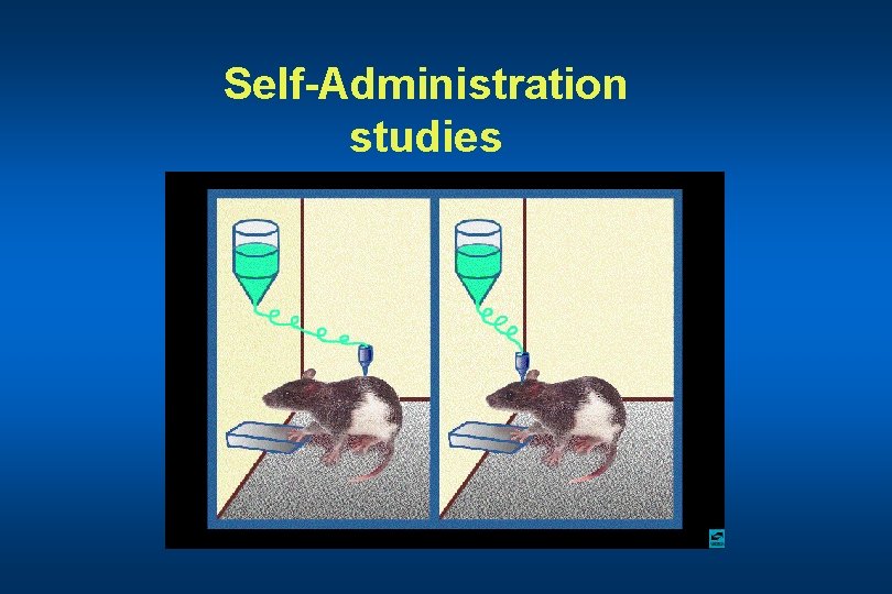 Self-Administration studies 