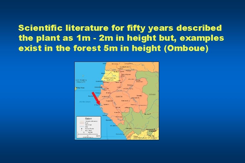 Scientific literature for fifty years described the plant as 1 m - 2 m