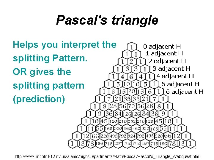 Pascal's triangle Helps you interpret the splitting Pattern. OR gives the splitting pattern (prediction)