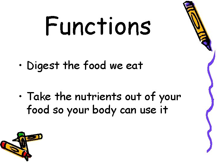 Functions • Digest the food we eat • Take the nutrients out of your