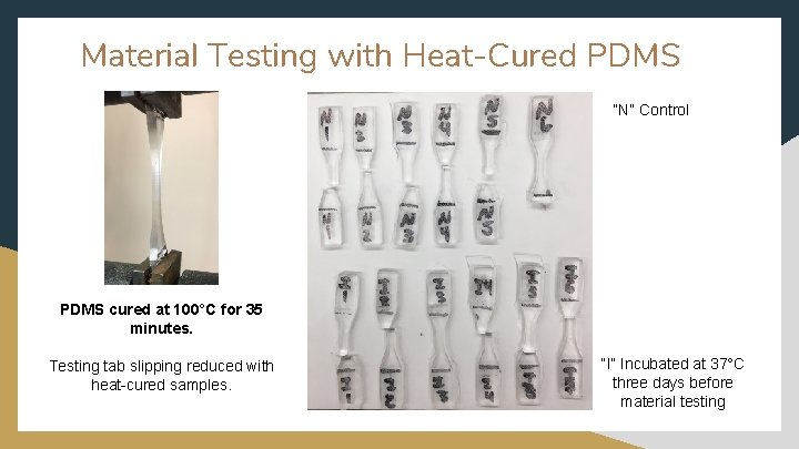 Material Testing with Heat-Cured PDMS “N” Control PDMS cured at 100°C for 35 minutes.