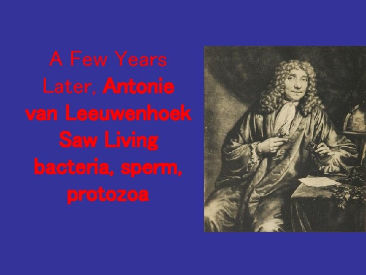 A Few Years Later, Antonie van Leeuwenhoek Saw Living bacteria, sperm, protozoa 