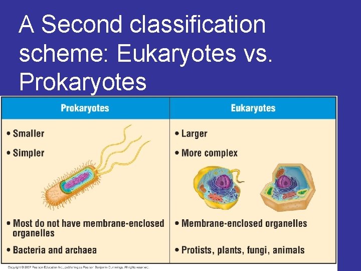 A Second classification scheme: Eukaryotes vs. Prokaryotes 