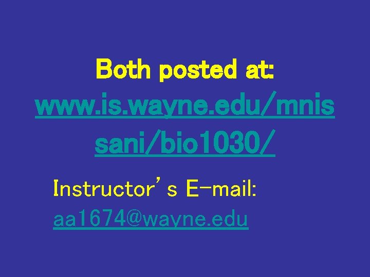 Both posted at: www. is. wayne. edu/mnis sani/bio 1030/ Instructor’s E-mail: aa 1674@wayne. edu