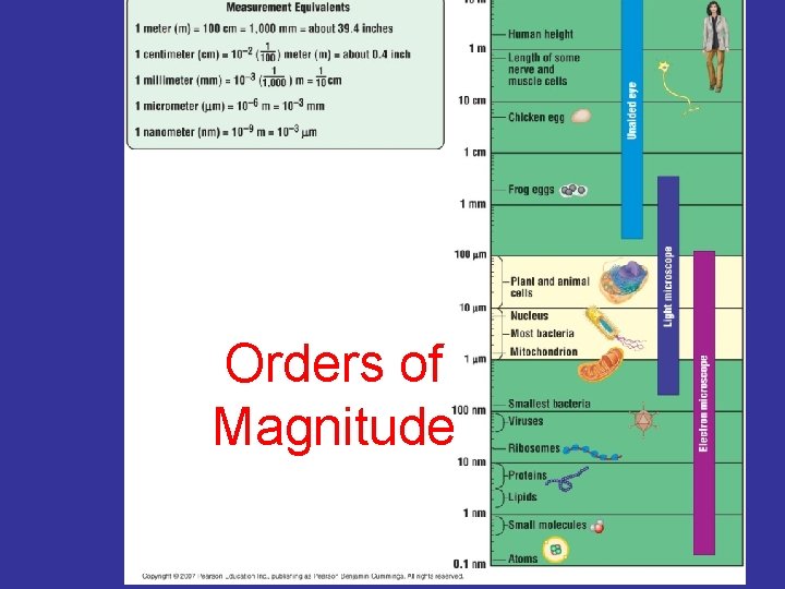 Orders of Magnitude 