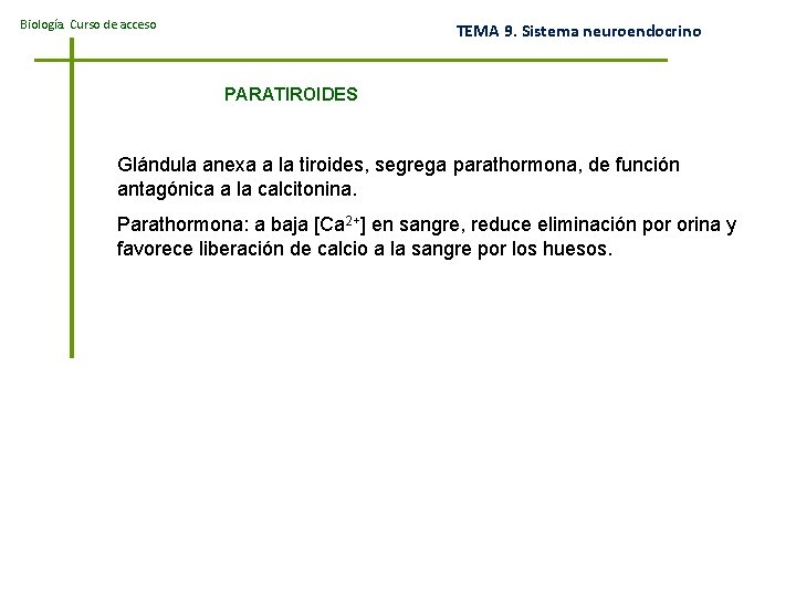 Biología. Curso de acceso TEMA 9. Sistema neuroendocrino PARATIROIDES Glándula anexa a la tiroides,
