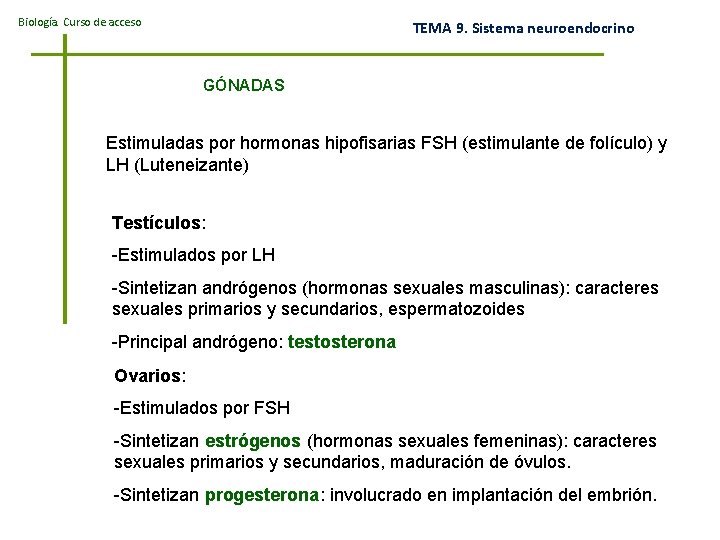 Biología. Curso de acceso TEMA 9. Sistema neuroendocrino GÓNADAS Estimuladas por hormonas hipofisarias FSH