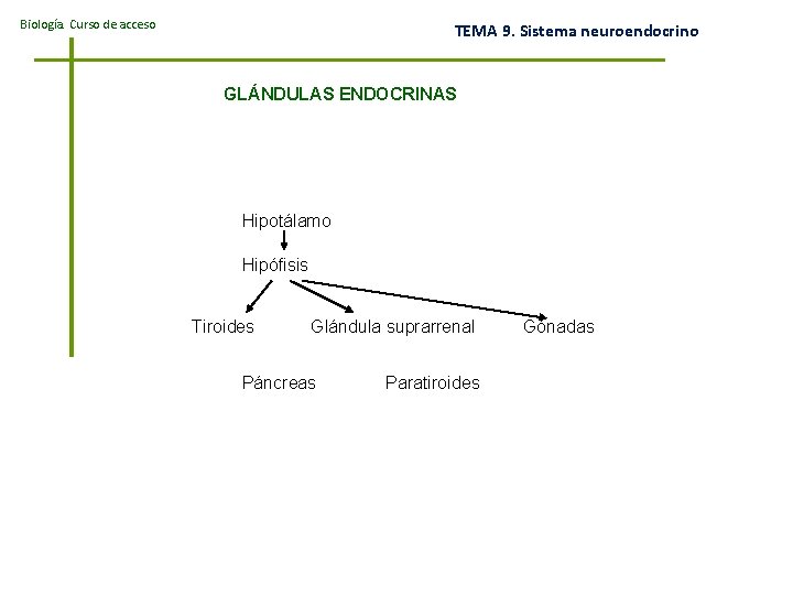 Biología. Curso de acceso TEMA 9. Sistema neuroendocrino GLÁNDULAS ENDOCRINAS Hipotálamo Hipófisis Tiroides Glándula