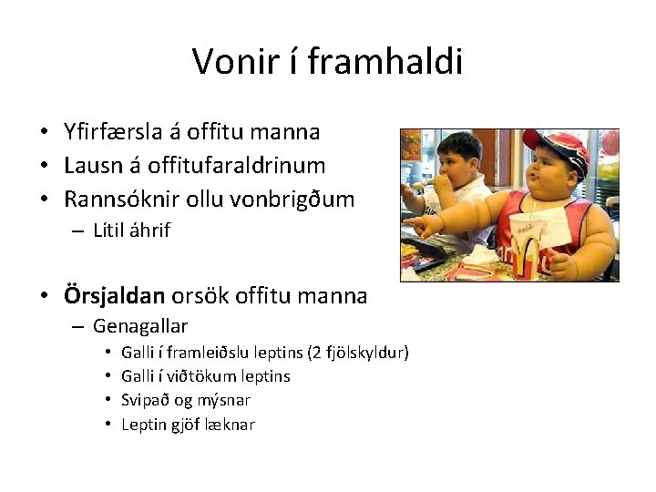 Vonir í framhaldi • Yfirfærsla á offitu manna • Lausn á offitufaraldrinum • Rannsóknir