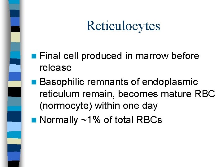 Reticulocytes n Final cell produced in marrow before release n Basophilic remnants of endoplasmic