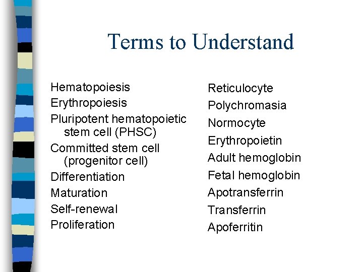 Terms to Understand Hematopoiesis Erythropoiesis Pluripotent hematopoietic stem cell (PHSC) Committed stem cell (progenitor