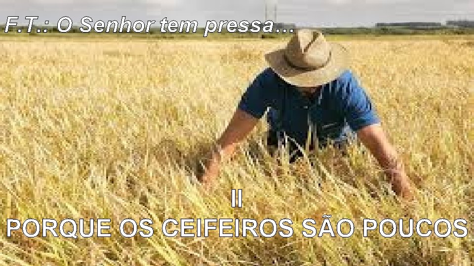 F. T. : O Senhor tem pressa… II PORQUE OS CEIFEIROS SÃO POUCOS 