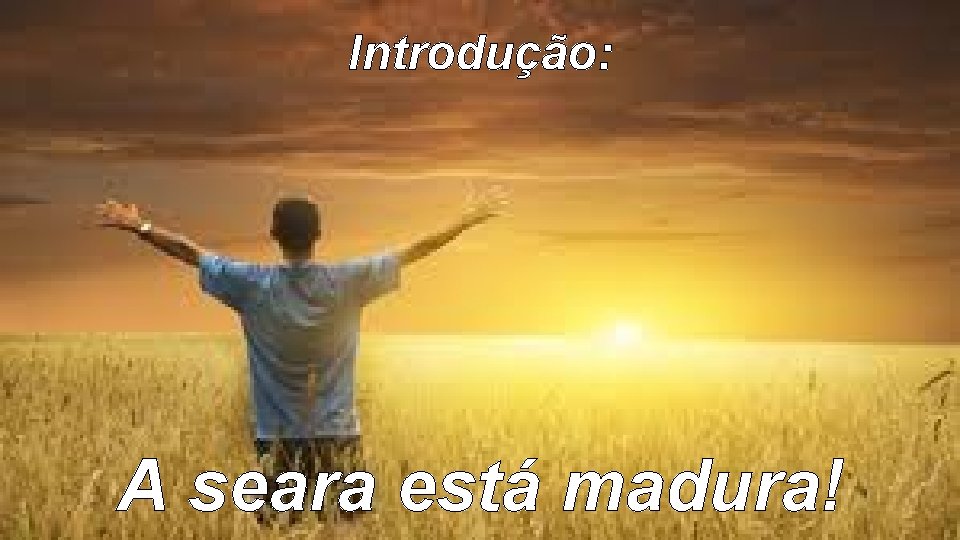 Introdução: A seara está madura! 