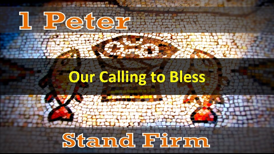 Our Calling to Bless 