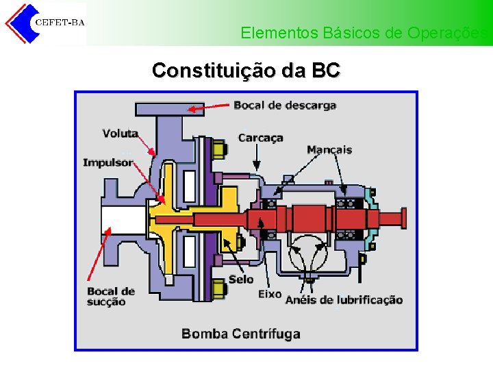 Elementos Básicos de Operações Constituição da BC 