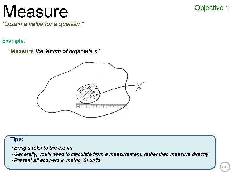 Measure Objective 1 ”Obtain a value for a quantity. " Example: “Measure the length