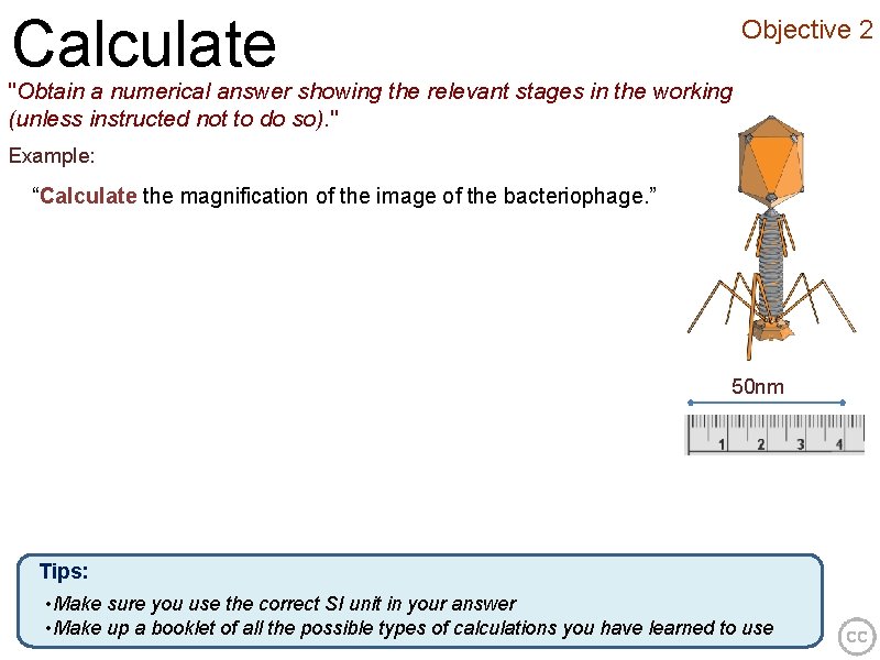 Calculate Objective 2 "Obtain a numerical answer showing the relevant stages in the working