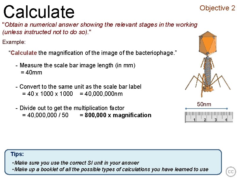 Calculate Objective 2 "Obtain a numerical answer showing the relevant stages in the working