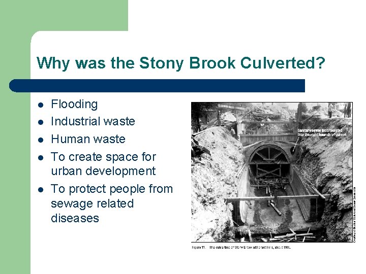 Why was the Stony Brook Culverted? l l l Flooding Industrial waste Human waste