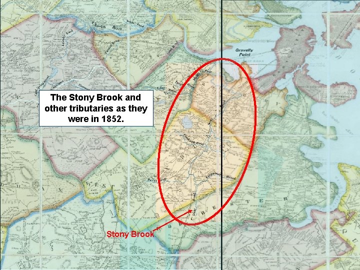 The Stony Brook and other tributaries as they were in 1852. Stony Brook 