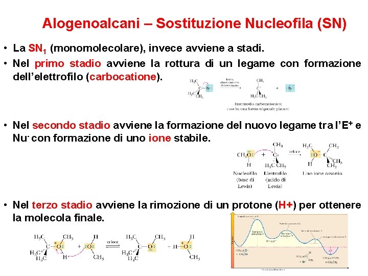 Alogenoalcani – Sostituzione Nucleofila (SN) • La SN 1 (monomolecolare), invece avviene a stadi.