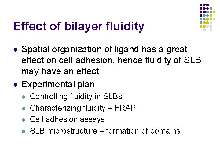 Effect of bilayer fluidity l l Spatial organization of ligand has a great effect