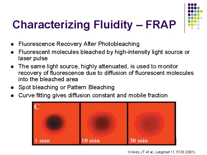 Characterizing Fluidity – FRAP l l l Fluorescence Recovery After Photobleaching Fluorescent molecules bleached