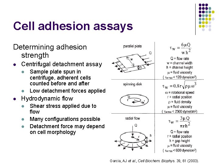 Cell adhesion assays Determining adhesion strength l Centrifugal detachment assay l l l Sample