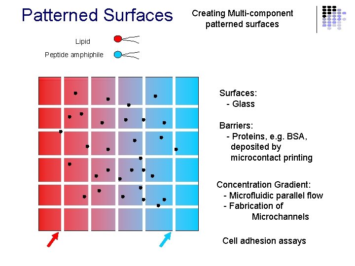 Patterned Surfaces Creating Multi-component patterned surfaces Lipid Peptide amphiphile Surfaces: - Glass Barriers: -