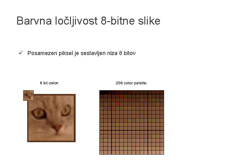 Barvna ločljivost 8 -bitne slike ü Posamezen piksel je sestavljen niza 8 bitov 