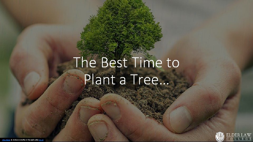 The Best Time to Plant a Tree… This Photo by Unknown Author is licensed
