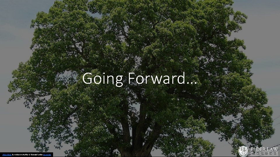 Going Forward… This Photo by Unknown Author is licensed under CC BY-SA 