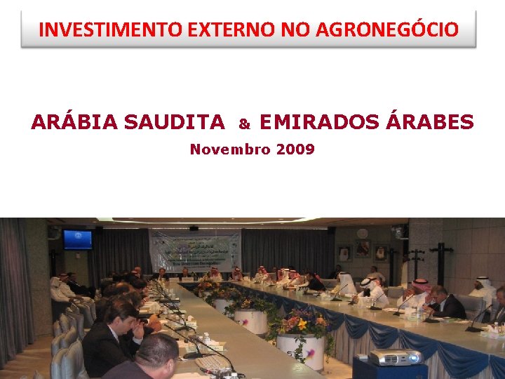 INVESTIMENTO EXTERNO NO AGRONEGÓCIO ARÁBIA SAUDITA & EMIRADOS ÁRABES Novembro 2009 