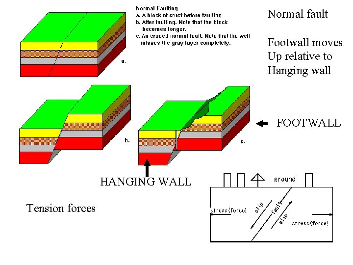 Normal fault Footwall moves Up relative to Hanging wall FOOTWALL HANGING WALL Tension forces