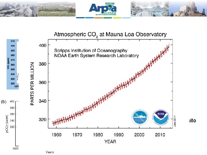 Cambiamenti osservati nella CO 2 • Le concentrazioni di CO 2, CH 4 ed