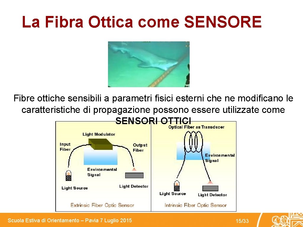 La Fibra Ottica come SENSORE Fibre ottiche sensibili a parametri fisici esterni che ne