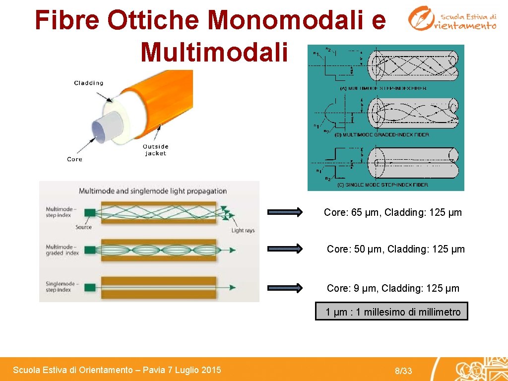 Fibre Ottiche Monomodali e Multimodali Core: 65 µm, Cladding: 125 µm Core: 50 µm,