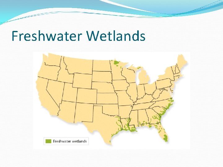 Freshwater Wetlands 