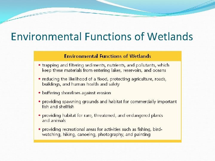 Environmental Functions of Wetlands 