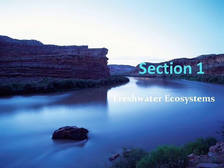 Section 1 Freshwater Ecosystems 