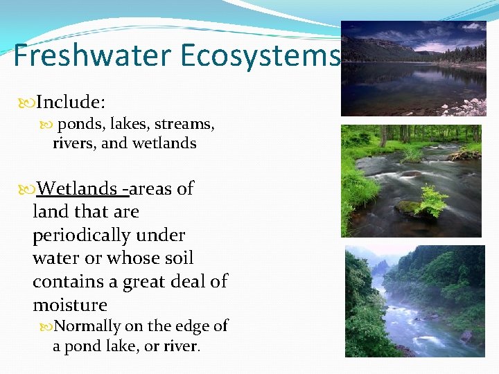 Freshwater Ecosystems Include: ponds, lakes, streams, rivers, and wetlands Wetlands -areas of land that