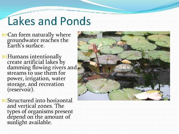 Lakes and Ponds Can form naturally where groundwater reaches the Earth’s surface. Humans intentionally