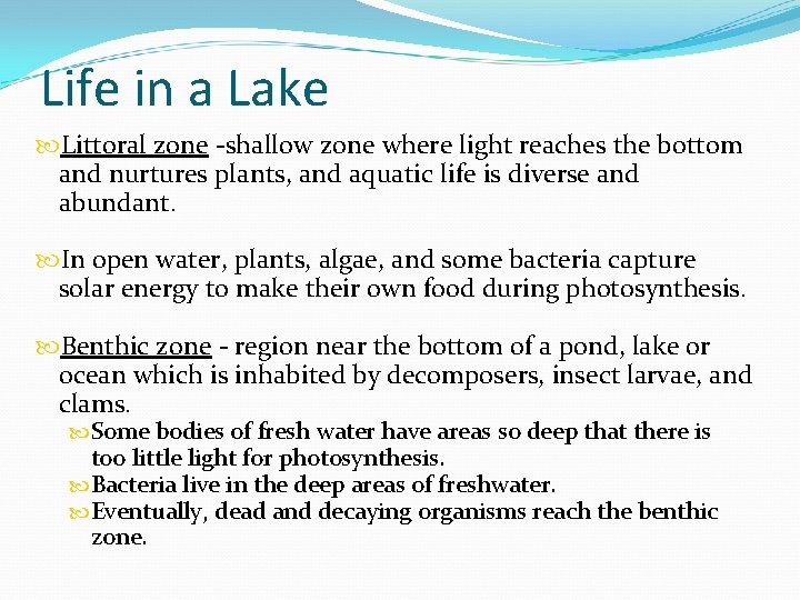 Life in a Lake Littoral zone -shallow zone where light reaches the bottom and